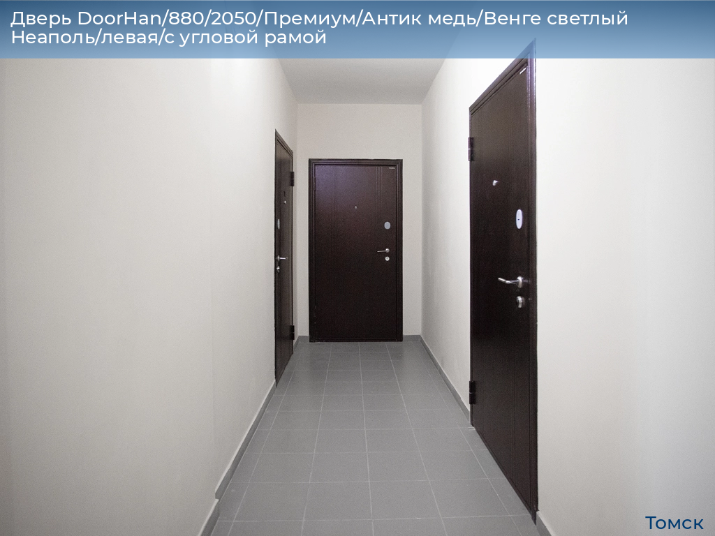 Дверь DoorHan/880/2050/Премиум/Антик медь/Венге светлый Неаполь/левая/с угловой рамой, tomsk.doorhan.ru