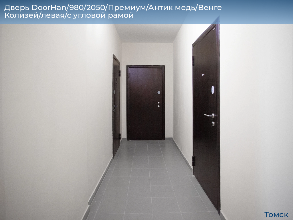 Дверь DoorHan/980/2050/Премиум/Антик медь/Венге Колизей/левая/с угловой рамой, tomsk.doorhan.ru