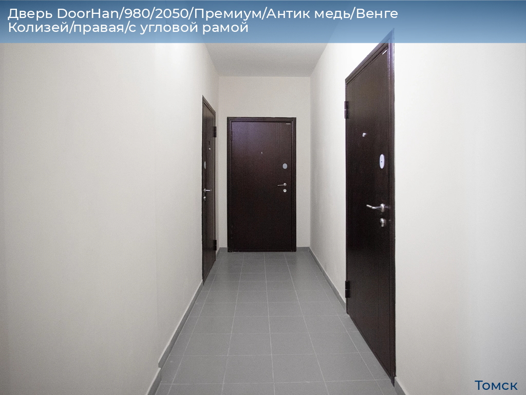 Дверь DoorHan/980/2050/Премиум/Антик медь/Венге Колизей/правая/с угловой рамой, tomsk.doorhan.ru
