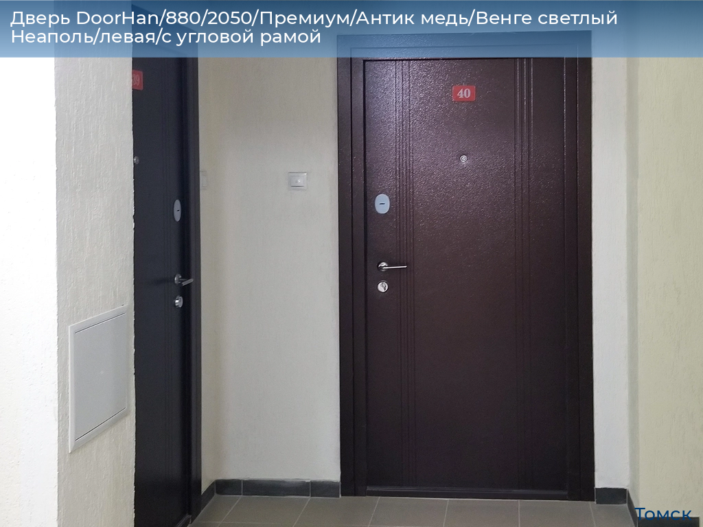 Дверь DoorHan/880/2050/Премиум/Антик медь/Венге светлый Неаполь/левая/с угловой рамой, tomsk.doorhan.ru