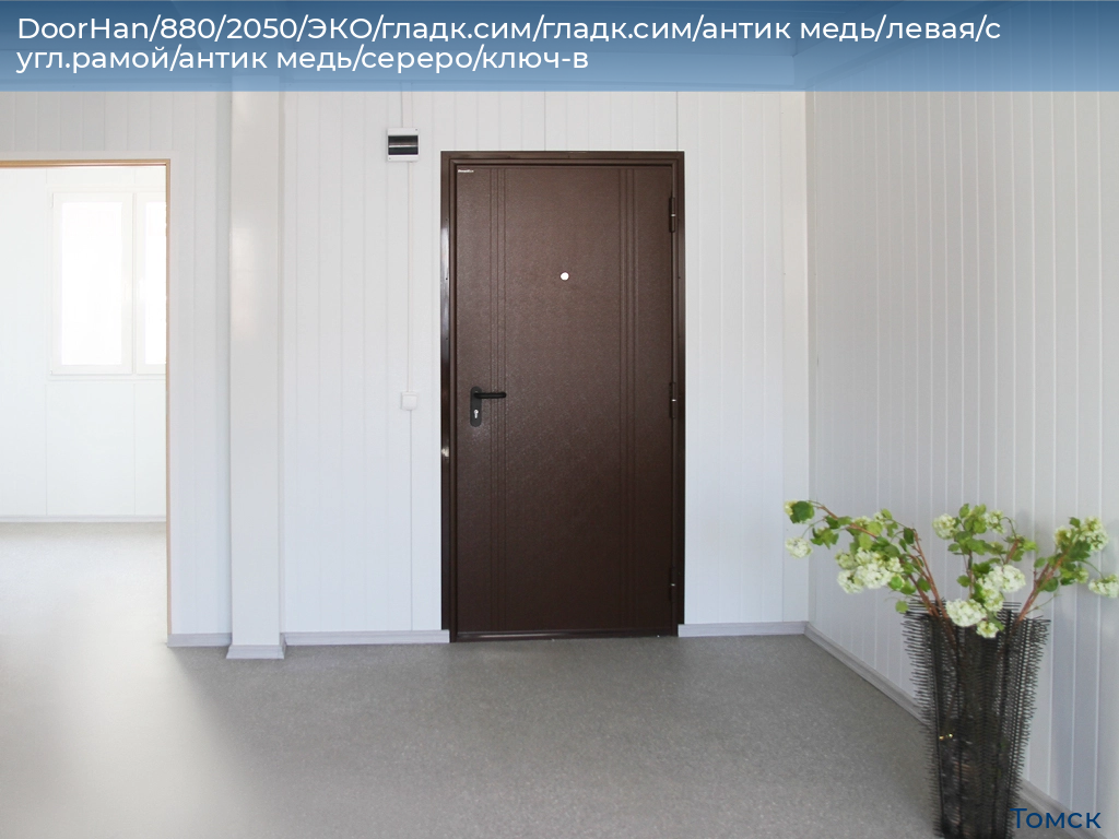 DoorHan/880/2050/ЭКО/гладк.сим/гладк.сим/антик медь/левая/с угл.рамой/антик медь/сереро/ключ-в, tomsk.doorhan.ru