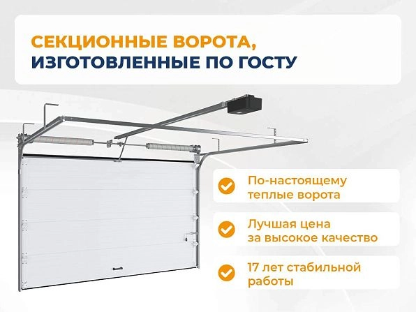 Cекционные ворота 3700х2400 мм антрацитовые DoorHan RSD02, tomsk.doorhan.ru